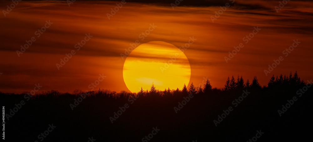 Fototapeta premium soleil d or