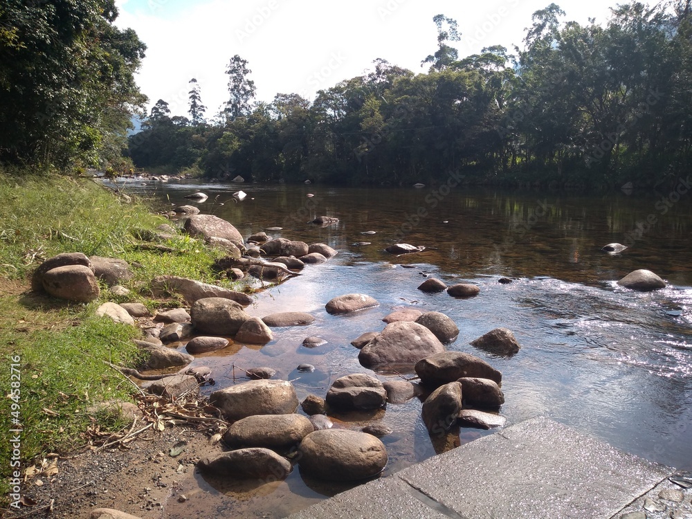 Fototapeta premium river in the park