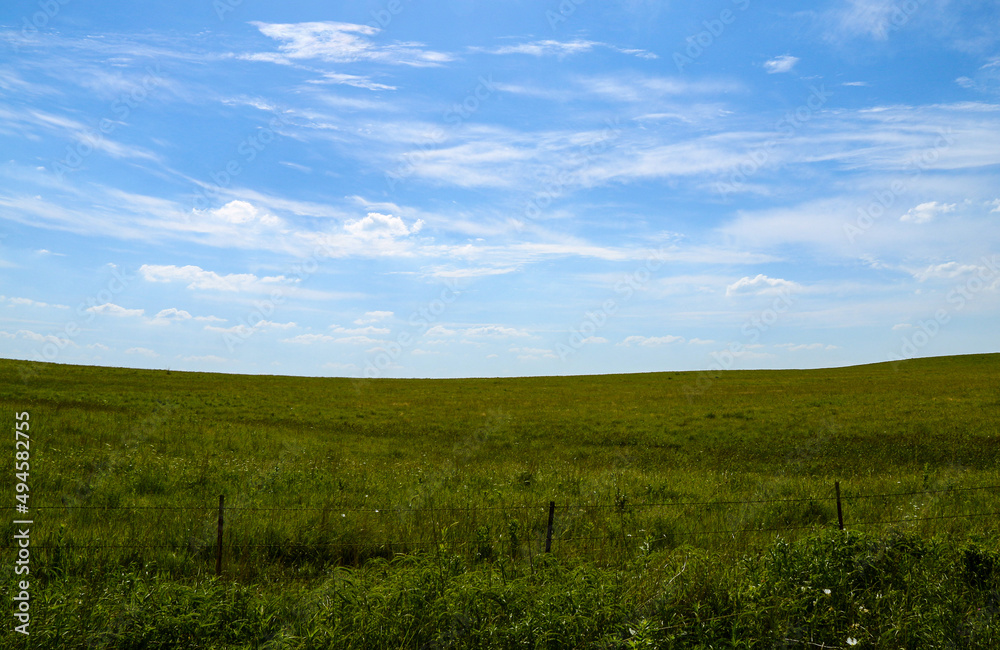 nature preserve grassland meadow field blue summer sky tranquil nature scene