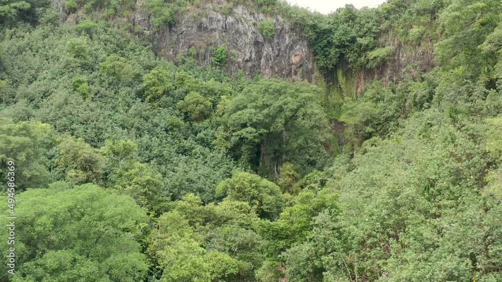 Vu aérienne 4K de la cascade vallée de vaipaee ile de ua huka archipel des marquises polynésie francaise Vu aérienne 4K de la cascade vallée de vaipaee ile de ua huka archipel des marquises polynésie francaise