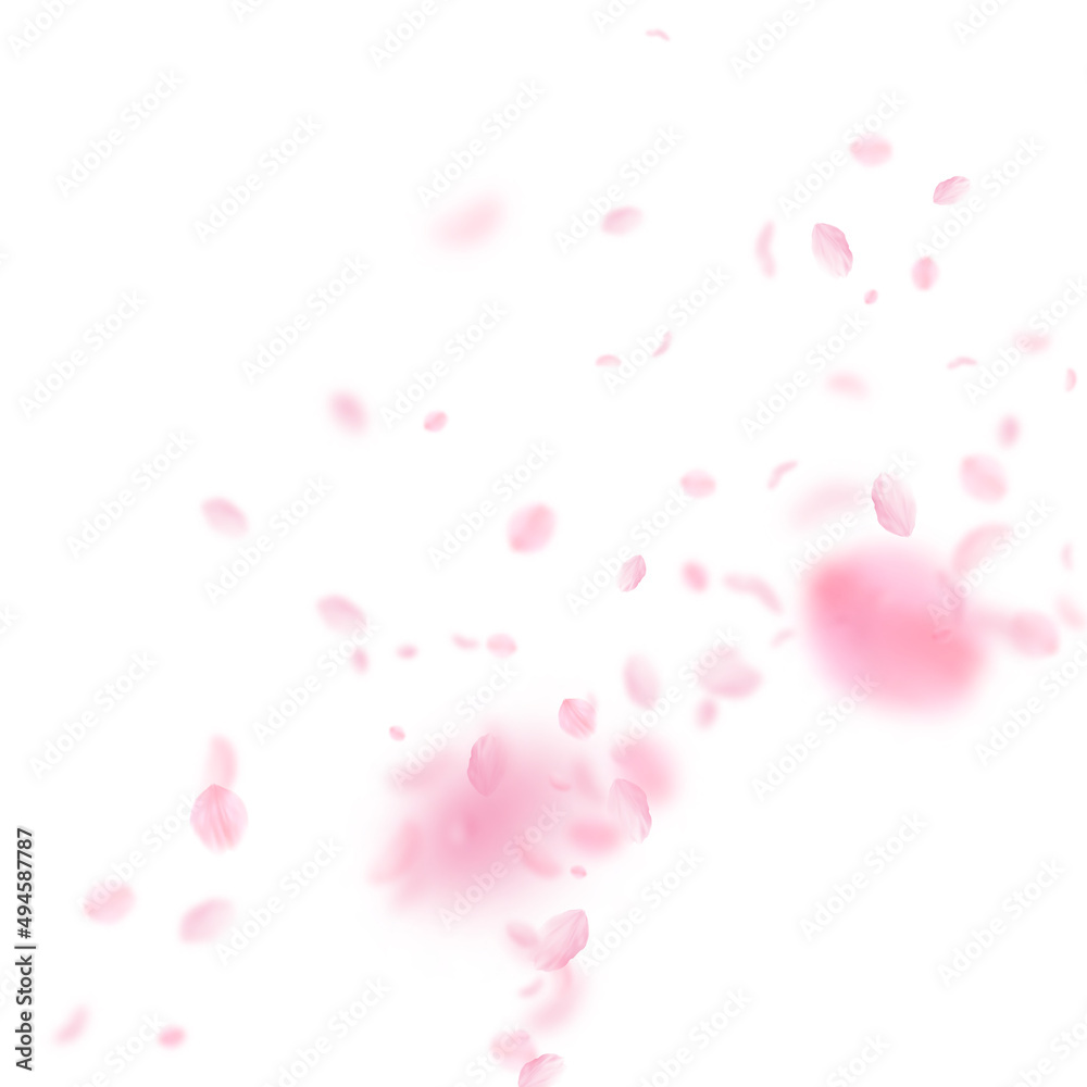 Sakura petals falling down. Romantic pink flowers corner. Flying petals on white square background. Love, romance concept. Alive wedding invitation.