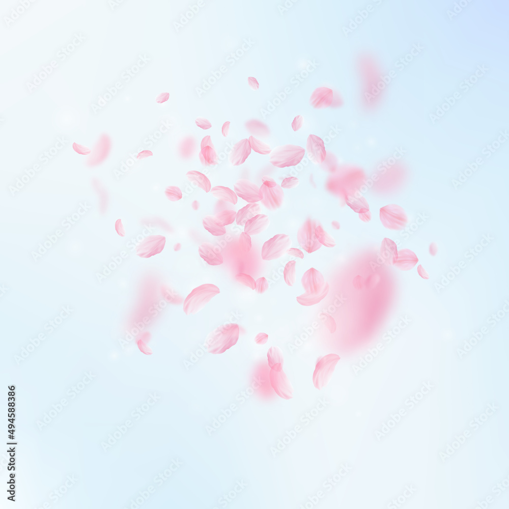 Sakura petals falling down. Romantic pink flowers explosion. Flying petals on blue sky square background. Love, romance concept. Curious wedding invitation.