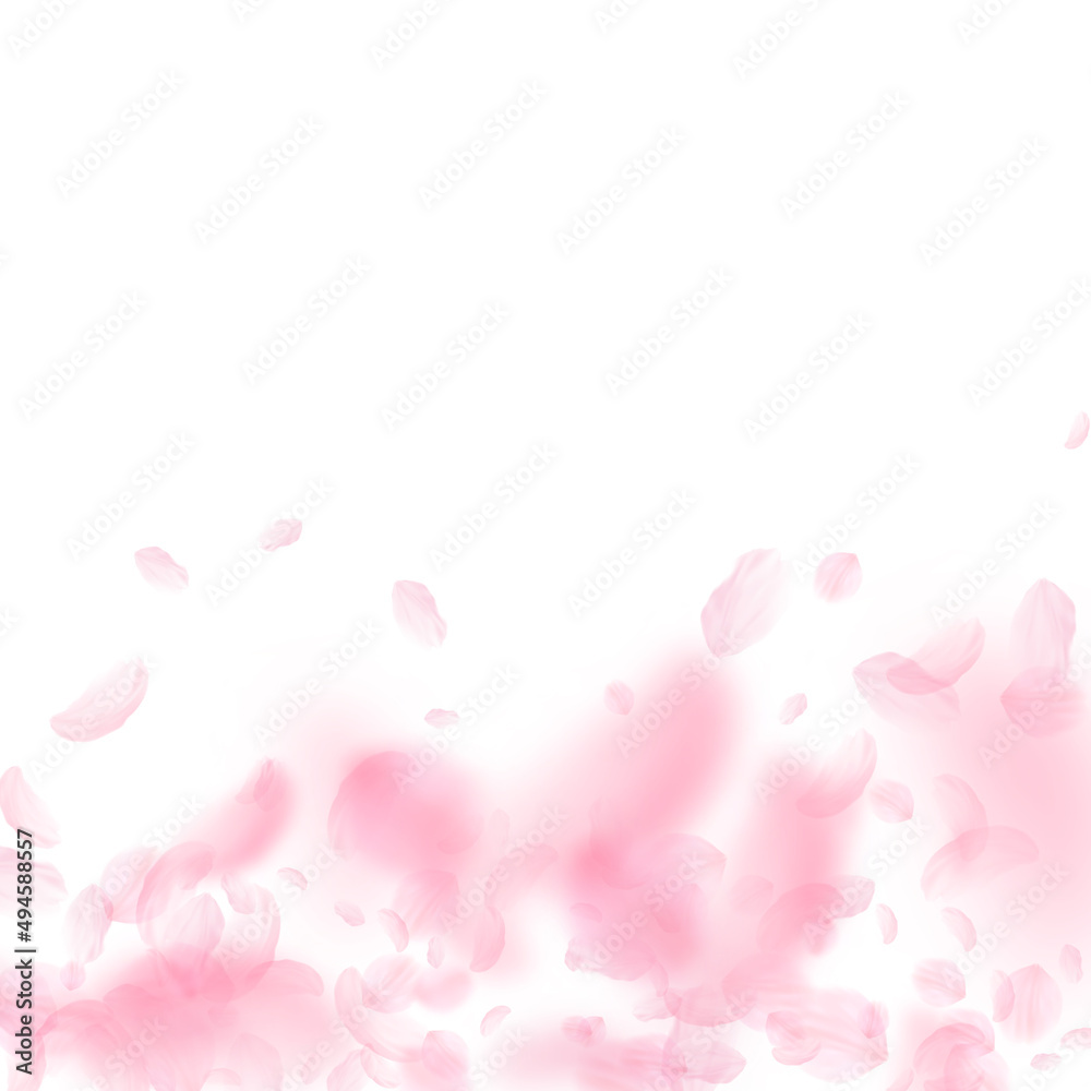 Sakura petals falling down. Romantic pink flowers gradient. Flying petals on white square background. Love, romance concept. Uncommon wedding invitation.