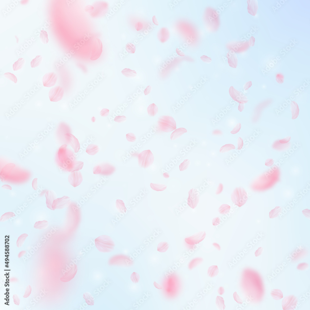 Sakura petals falling down. Romantic pink flowers falling rain. Flying petals on blue sky square background. Love, romance concept. Interesting wedding invitation.