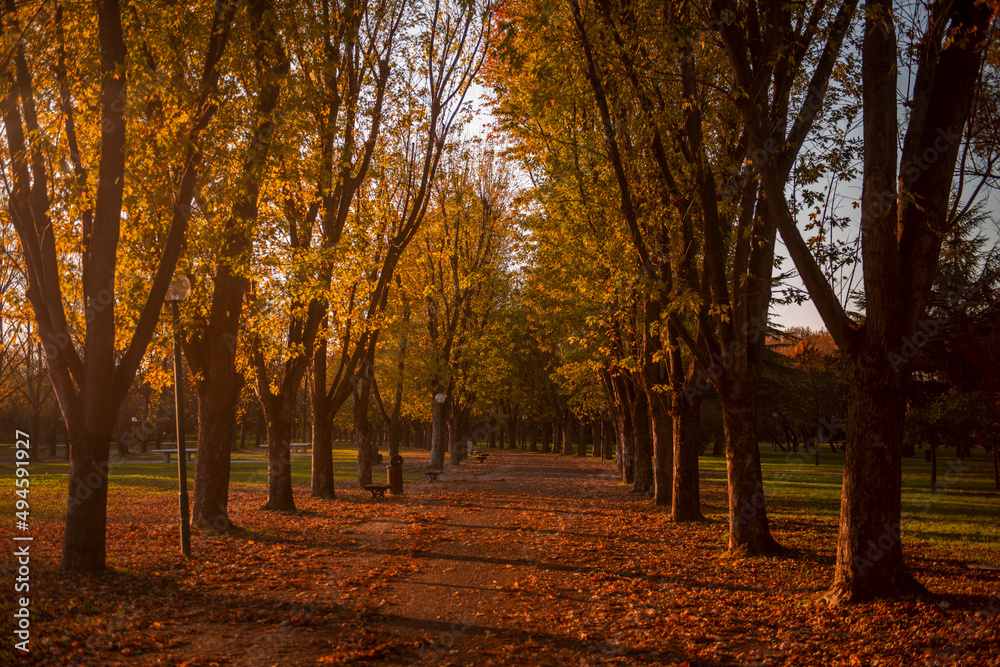Autumn in Bursa Botanical Park 