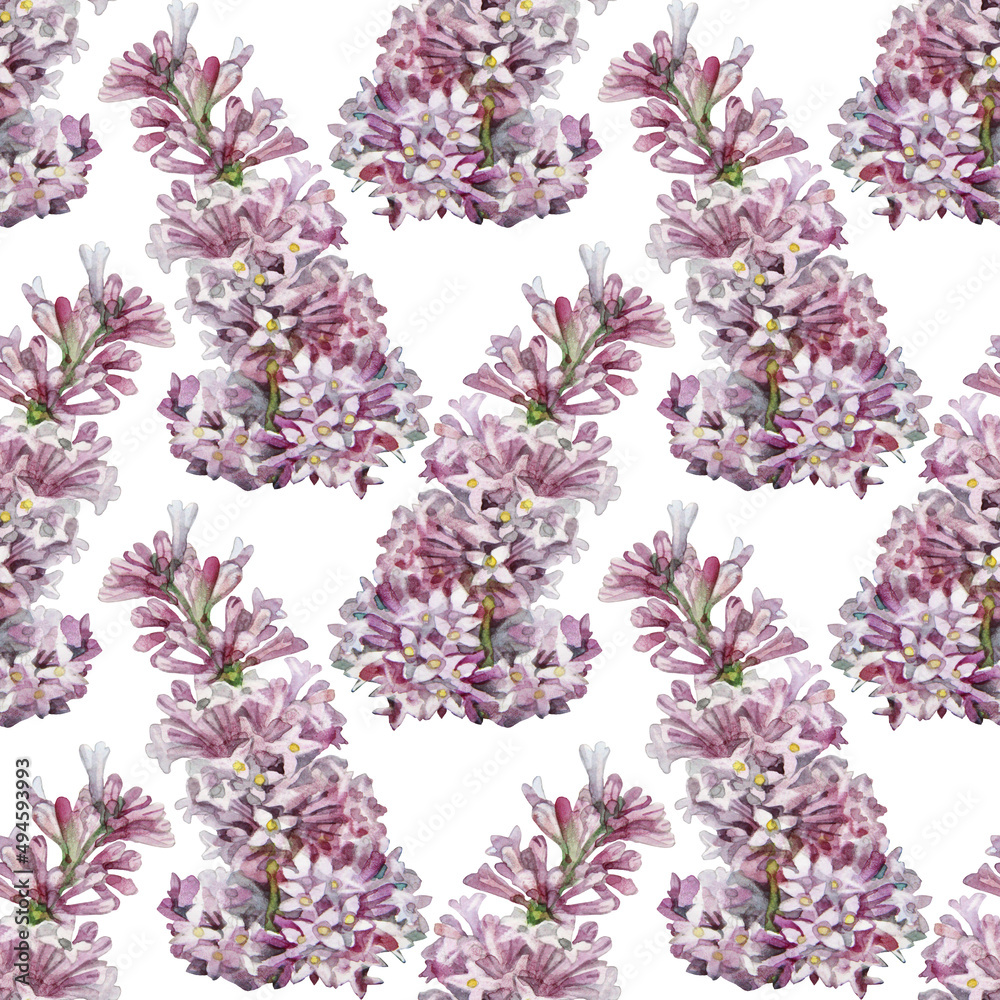 Seamless pattern watercolor lilac isolated on white background. Spring hand-drawn purple pink flower for wedding celebration card. Botanical summer art for wrapping wallpaper sketchbook coloring book