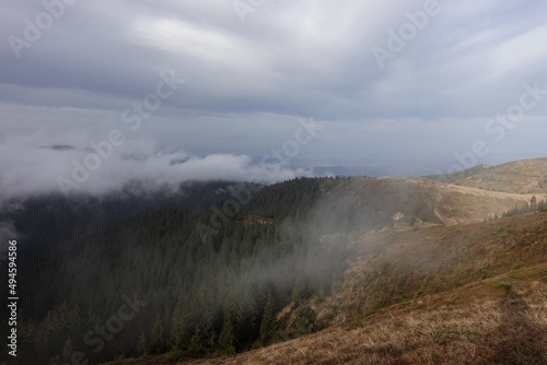 Fog Over Mountain Forest in Ciucas Mountains