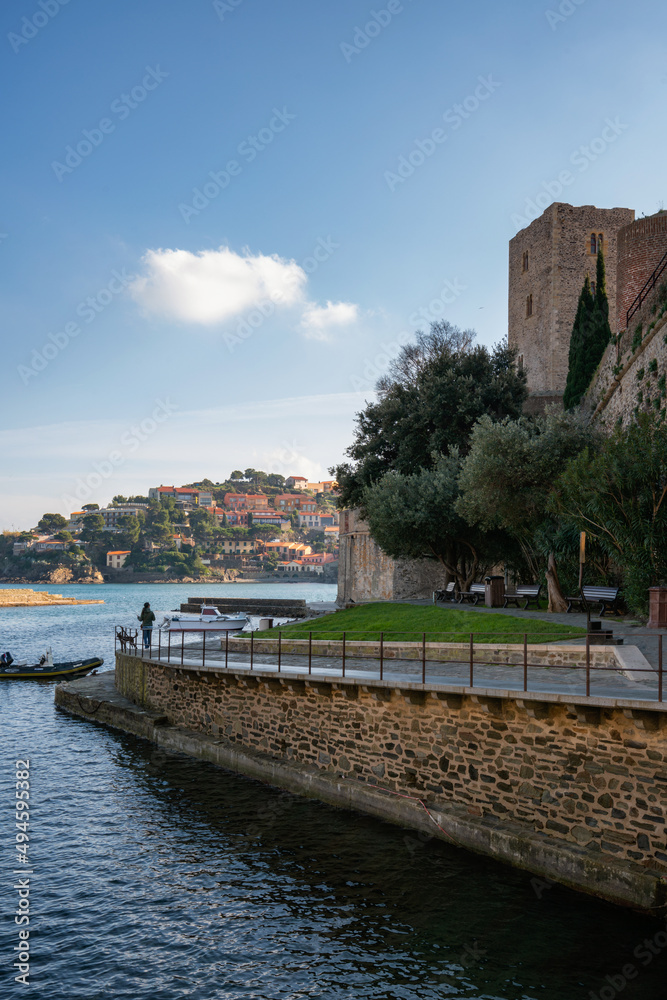 Royal castle of Collioure in the south of France with the colorful village buildings