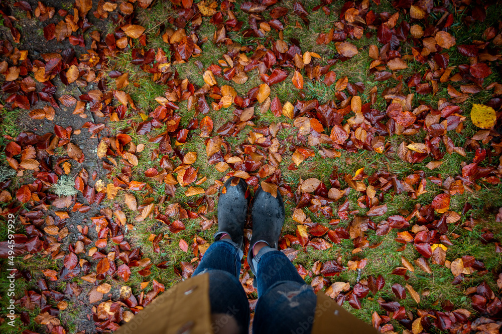 Fototapeta premium Woman standing above autumn fall red and orange leaves on the grass