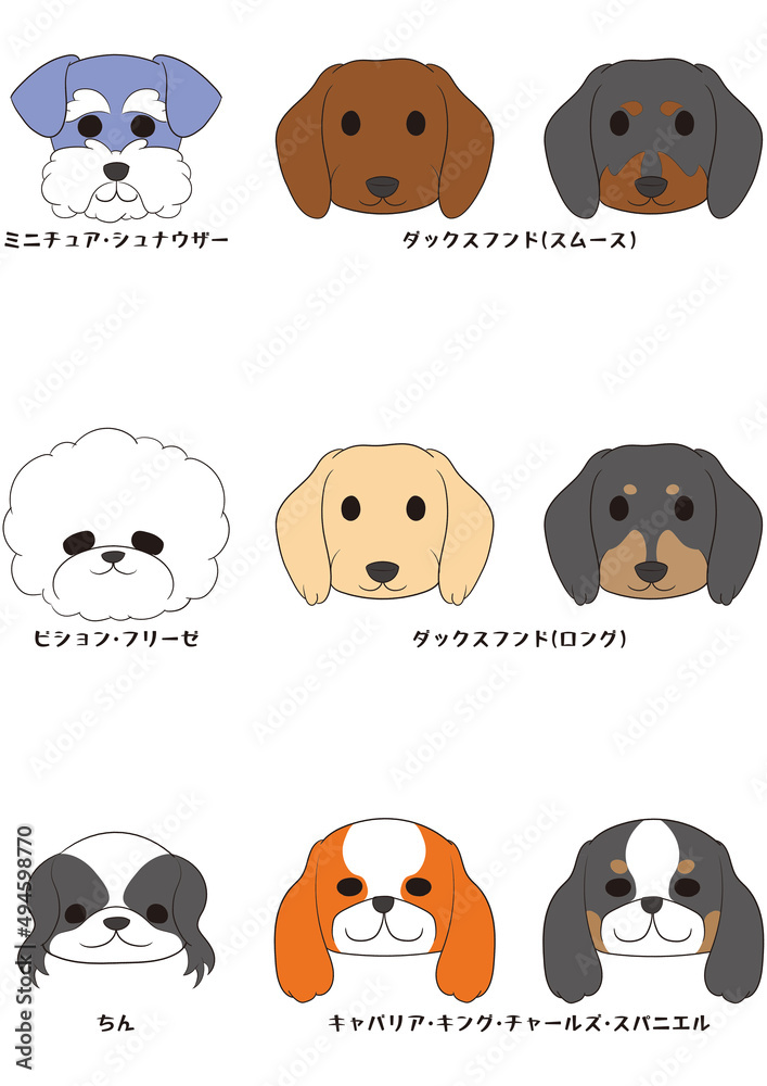Obraz premium ワンちゃんの正面顏)5犬種9匹セット)フルカラー