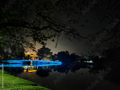 night view at Taiping Lake Garden in Malaysia.