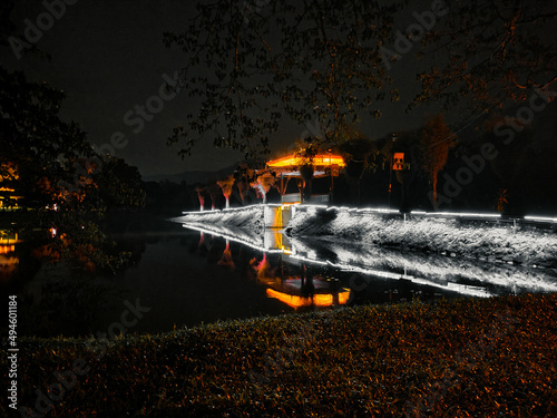 night view at Taiping Lake Garden in Malaysia.