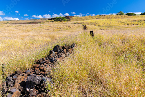 Lava Stone Fence Leading Uphill to Pu'ukohola Heiau National Historic Site, Hawaii Island, Hawaii, USA photo