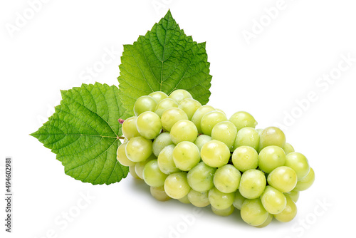 Fresh Organic Shine Muscat, Green Grapes with leaf isolated on white background with clipping path.