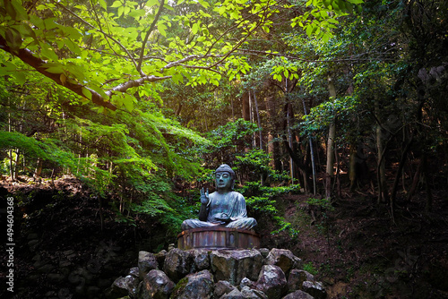 Canvas Print Green Buddha sits on the rock pile among forest trees in afternoon time at Japan