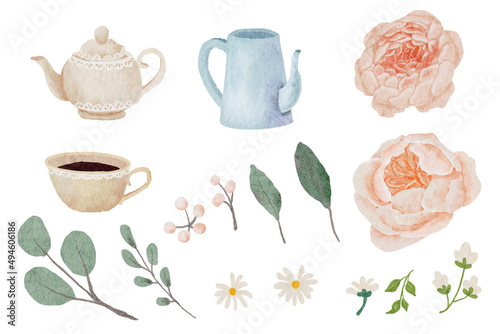 watercolor orange peach blooming rose with teapot container elements collection