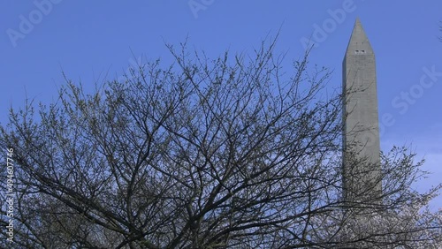Cherry Blossoms around the Tidal Basin
