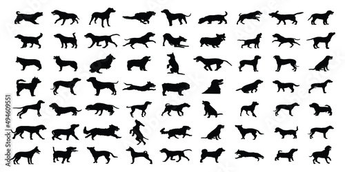 Vector silhouette of a dog on white background.