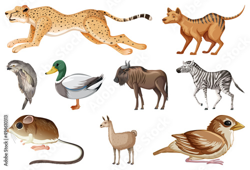 Set of different kinds of animals