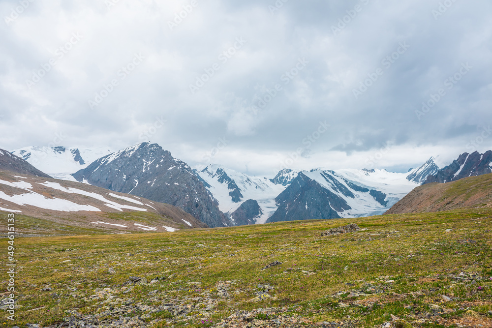 Scenic alpine view from sunlit green grassy hill to high snowy mountain range with sharp tops and glaciers under gray cloudy sky. Colorful landscape with large snow mountains at changeable weather.