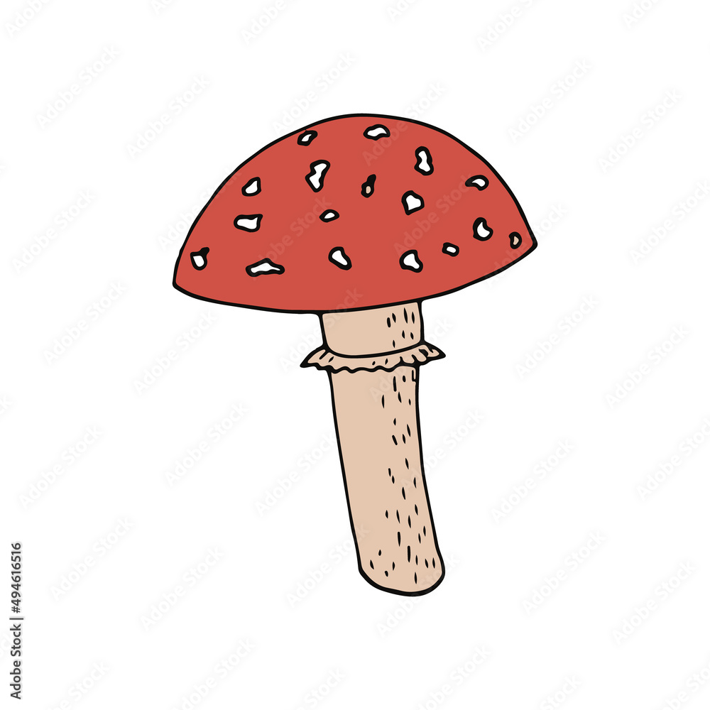 fly agaric icon, sticker, poster, card. hand drawn in doodle style. vector. mushroom, forest, poisonous, inedible. fly agaric icon, sticker, poster, card. hand drawn in doodle style. vector. mushroom, forest, poisonous, inedible.