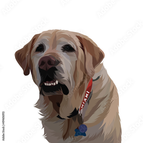 Dog vector colorful illustration