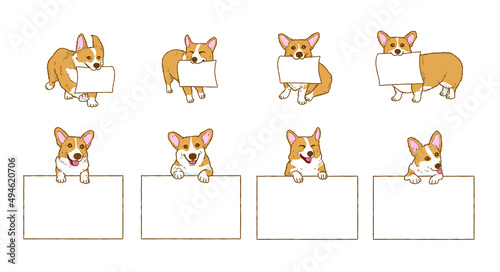 Cartoon corgi dog with blank paper. Dog above banner or sign illustration