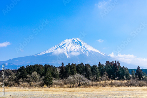 静岡県富士宮市朝霧高原の富士山の見えるキャンプ場