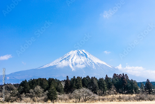 静岡県富士宮市朝霧高原の富士山の見えるキャンプ場