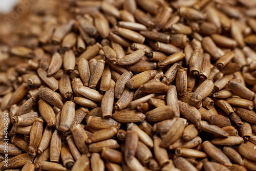 Milk thistle seeds close-up, seed texture healthy nutrition