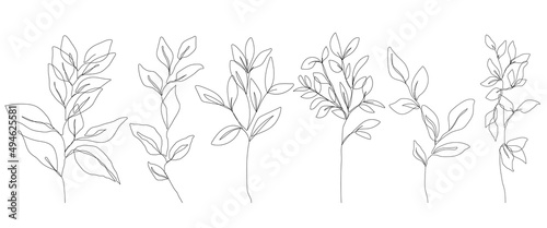 Leaves Line Art Vector Set for Prins, Social Media, Icons. Leaves Set in Trendy Minimalist Style. Abstract Botanical Hand Drawn Doodle Template Collection photo