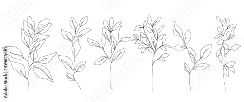 Wallpaper Mural Leaves Line Art Vector Set for Prins, Social Media, Icons. Leaves Set in Trendy Minimalist Style. Abstract Botanical Hand Drawn Doodle Template Collection Torontodigital.ca