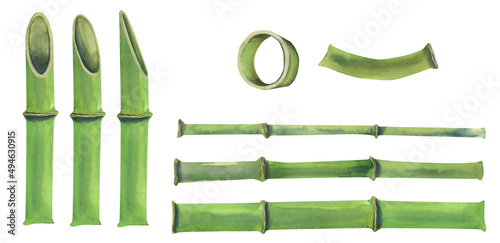 Watercolor illustration of a set of bamboo parts. The stems are green with different sections and without. For the design of banners, postcards, posters, for advertising and business. © NATASHA-CHU