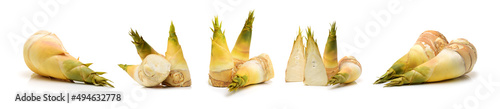 Photos Bamboo shoot on the white background