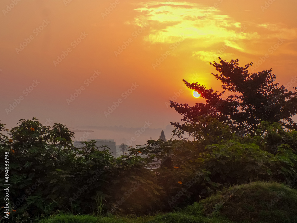 Couché de soleil derrière des branches d'arbres