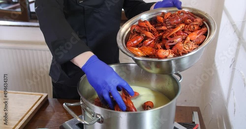 Chef wearing gloves pouring fresh red crayfish lobster seafood in pot with hit boiling water, cooking fish soup recipe in professional kitchen photo