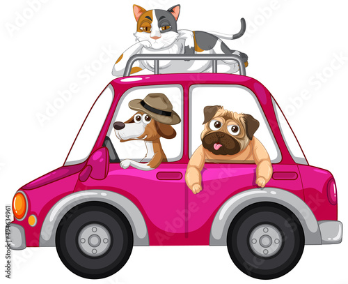 Dogs and cat riding a car on white background