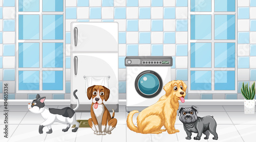 Set of different domestic animals in room