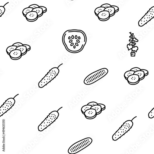 Cucumber Natural Bio Vegetable Vector Seamless Pattern Thin Line Illustration