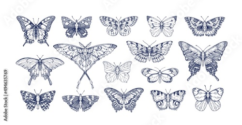 Butterflies in vintage style set. Outlined sketches of flying insects, moths species collection. Retro detailed line drawings. Engraved hand-drawn vector illustrations isolated on white background