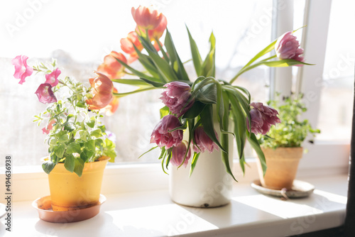 Wallpaper Mural Bouquet of purple tulips standing at the window in a white metal jar  Torontodigital.ca