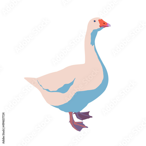 Goose vector illustration isolated on white background