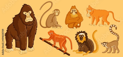Different exotic monkey and tropical ape set. Chimpanzee, gorilla and wild primate mammal animal