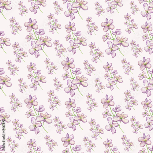 Watercolor seamless mattiola pattern isolated on white background.Good for textile,fabrics. photo