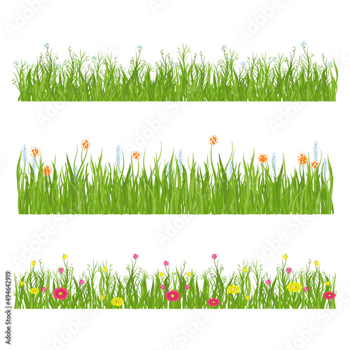 Flowers and grass. Blooming field, meadow.