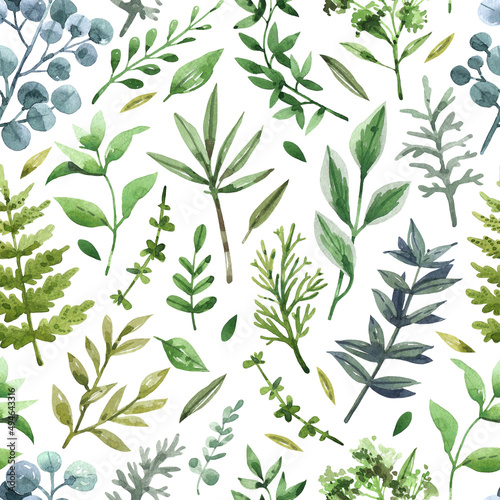 Wallpaper Mural Floral, watercolor graphic seamless pattern with green leaves and spring herbs in vintage style. For  clothes, fashion fabrics, home decor, backgrounds, cards and templates, scrapbooking etc Torontodigital.ca