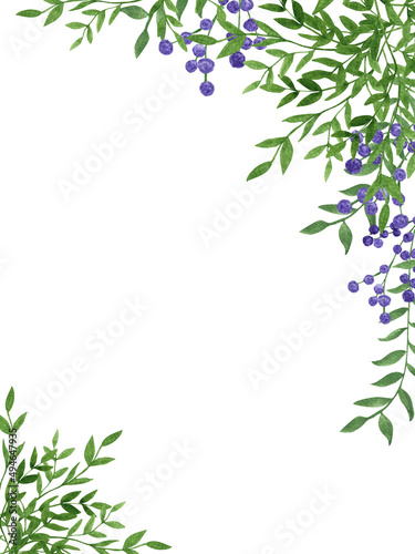 Watercolor spring; summer frame with green leaves and branches of gypsophila, for wedding greetings, wallpapers, background. Green herbs, branches, leaves, plants; © Elene le13