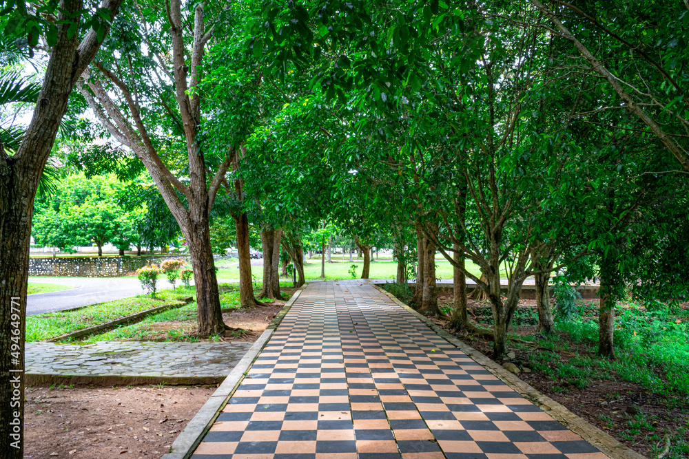 A sidewalk in a park with shady trees
