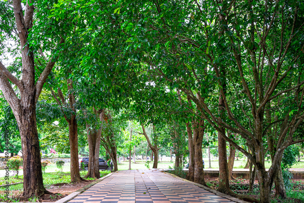 Fototapeta premium Sidewalk in the park