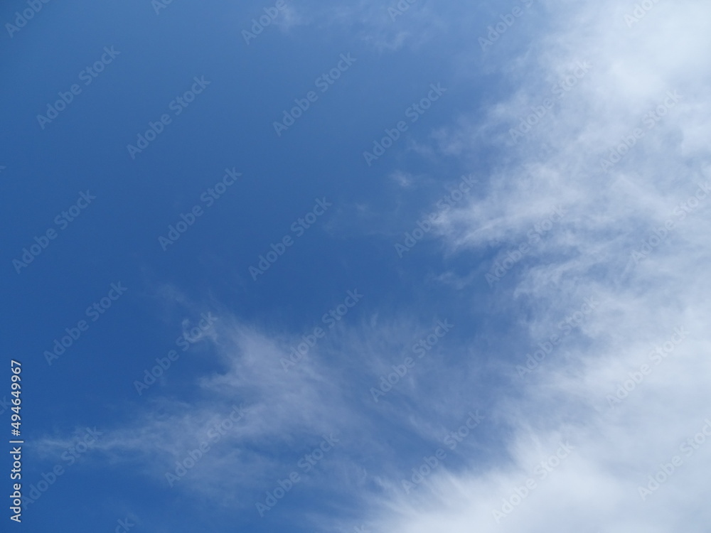 Fototapeta premium 青い空と白い雲